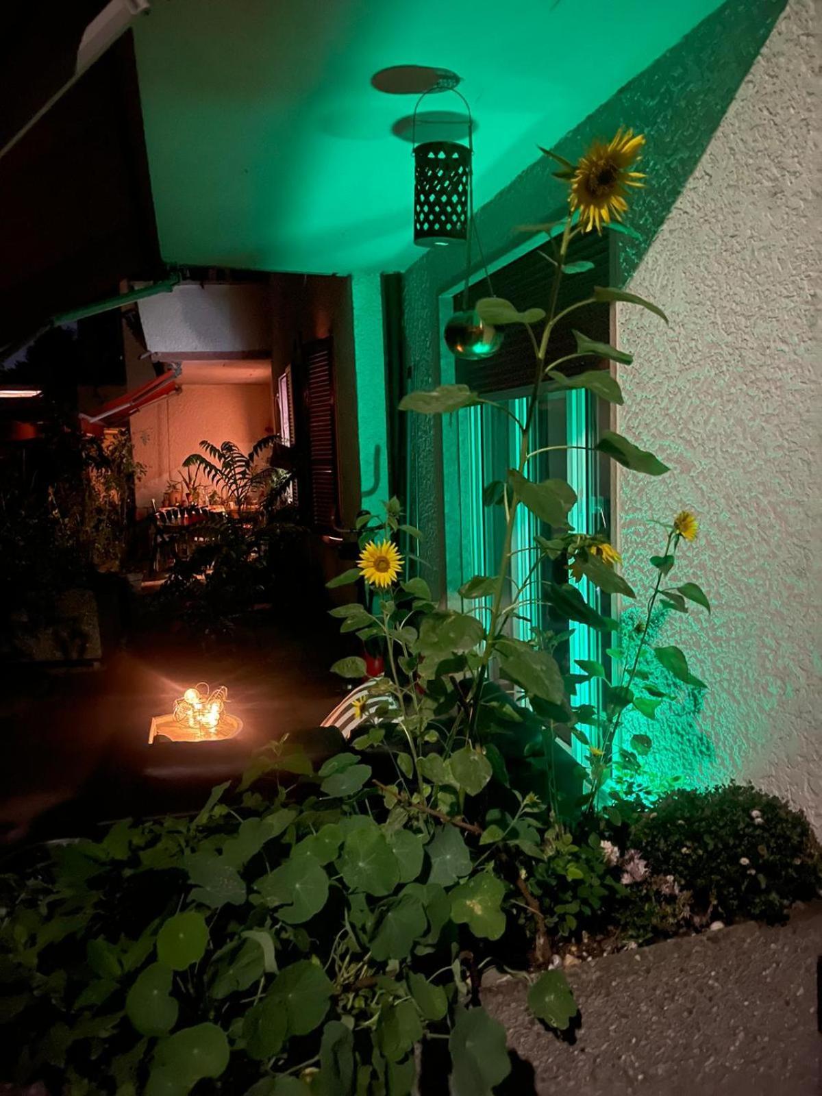 Bellezza In Lorraine Apartment เบิร์น ภายนอก รูปภาพ